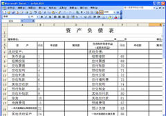 资产负债表表格 excel 免费版