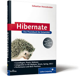 hibernate