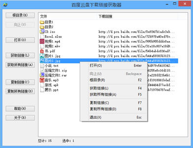 百度云盘下载链接获取器 1.0 绿色免费版