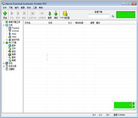 Internet Download Accelerator 5.19 中文绿色版
