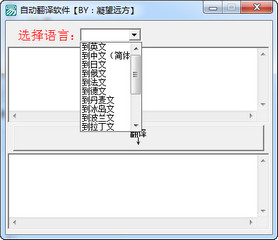 自动翻译软件 1.0 绿色版