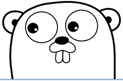 Golang