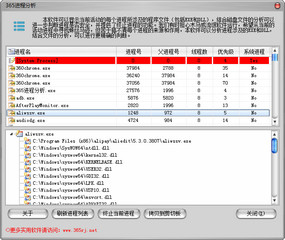 365进程分析 1.0 绿色免费版