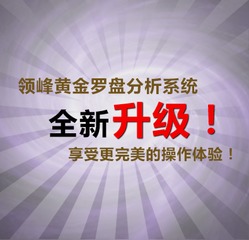 领峰黄金罗盘分析系统 2.0 最新版