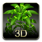 我的3D植物 2.6 安卓版