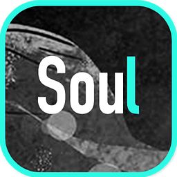 Soul 2.7.8 app