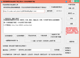 网页视频真实地址解析下载工具 5.0 绿色版