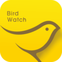 小鸟观映APP 1.0.4 最新版