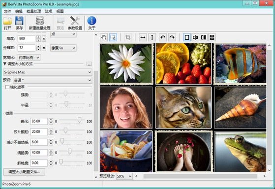 PhotoZoom Pro 7 7.0.8 中文免费版