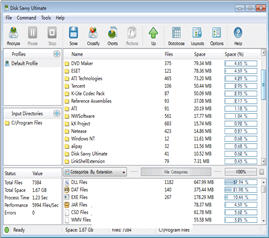DiskSavvy Ultimate(32位/64位) 5.6.24 免费版