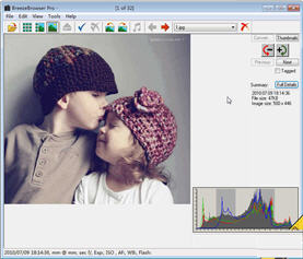BreezeBrowser(RAW图象处理软件)