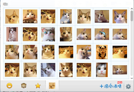 瓜皮猫表情包 1.0 绿色免费版