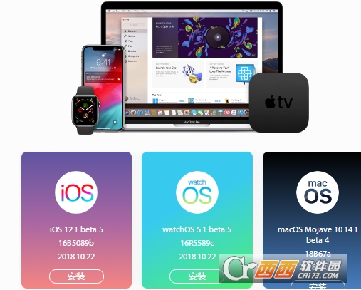 苹果ios12.1beta5固件正式版