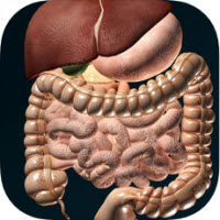 器官3D解剖学app下载-器官3D解剖学Organs 3D(Anatomy)下载v2.0.10安卓汉化版