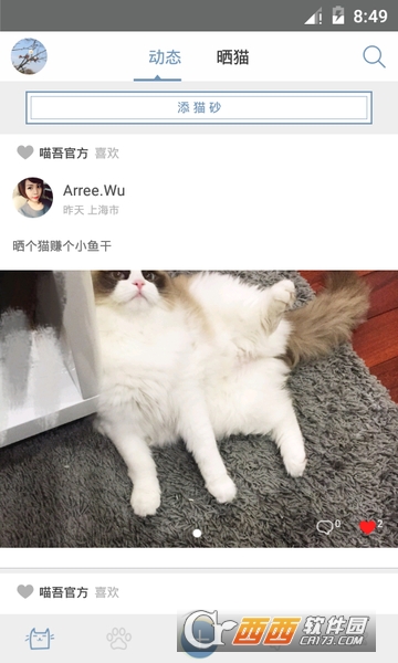 猫咪家族