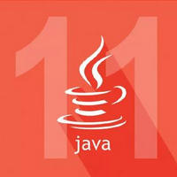 Java SE Development Kit 11 11.0.2