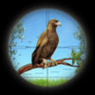 FPS猎人鸟类狩猎3D 1.0 苹果版