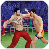 强壮的摔跤搏击世界 1.0 苹果版