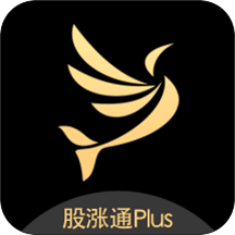 股涨通Plus