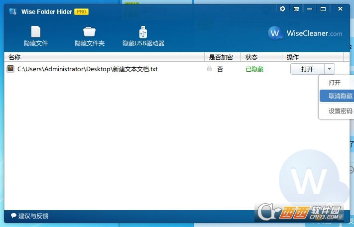 Wise Folder Hider Pro绿色版