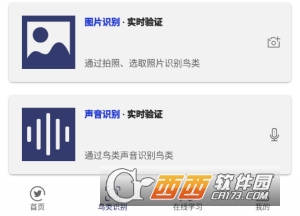 图音识鸟