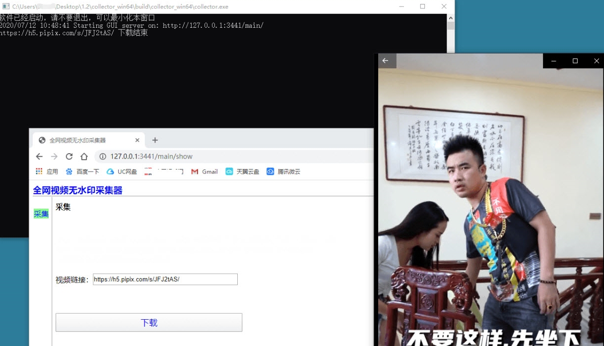 collector.exe(全网视频无水印采集器)