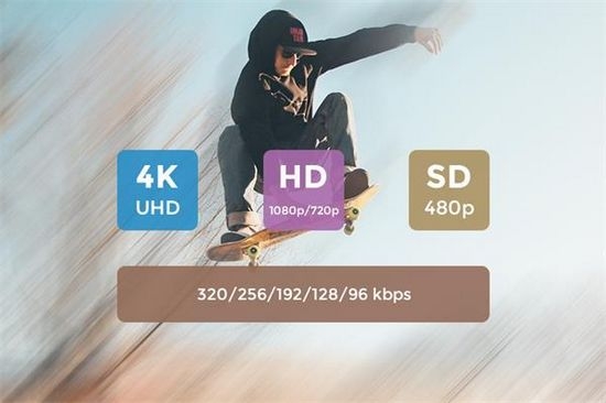 DVDFab Video Downloader图片