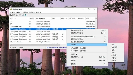 ShellBagsView(批量设置文件显示方式)