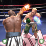 真实拳击3D游戏下载-真实拳击3D 安卓版v2.1