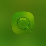绿叶精选壁纸APP下载-绿叶精选壁纸安卓版v20210722