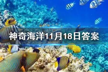 红树林被称为大海的幼儿园主要是因为 神奇海洋11月18日答案最新