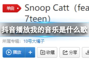 你说得对但我播放我的音乐 少林寺穿搭SnoopCatt歌词分享