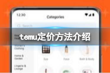 temu怎么定价 定价方式介绍