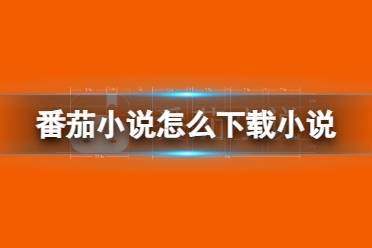 番茄小说怎么下载小说 小说下载方法