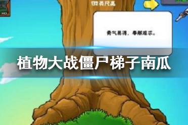 《植物大战僵尸》梯子南瓜注意事项   需要注意哪些？