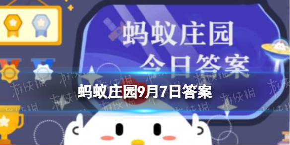 以下哪种垃圾是可以回收再利用的 蚂蚁庄园9月7日答案最新