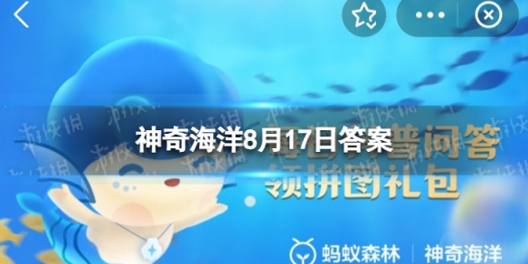 海洋冷知识：章鱼有几颗心脏 神奇海洋8月17日答案