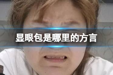 显眼包是哪里的方言 显眼包方言意思介绍