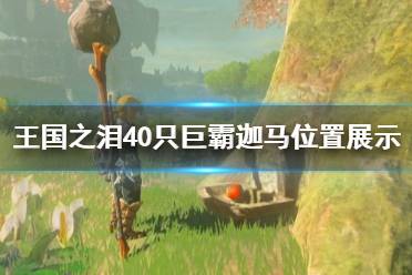 《塞尔达传说王国之泪》40只巨霸迦马位置展示  40只巨霸迦马位置在哪？