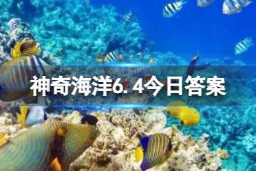 支付宝神奇海洋6.4最新答案 海豹的主食是鱼类吗还是藻类