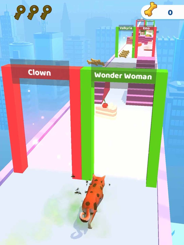 Groomer run 3D