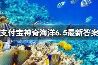 考考你无眼鱼靠什么感知外界 支付宝神奇海洋6.5最新答案