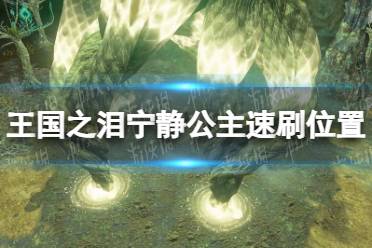 《塞尔达传说王国之泪》宁静公主速刷位置推荐 宁静公主在哪刷？