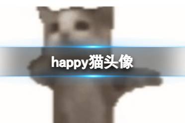 happy猫头像 happy猫头像图片分享