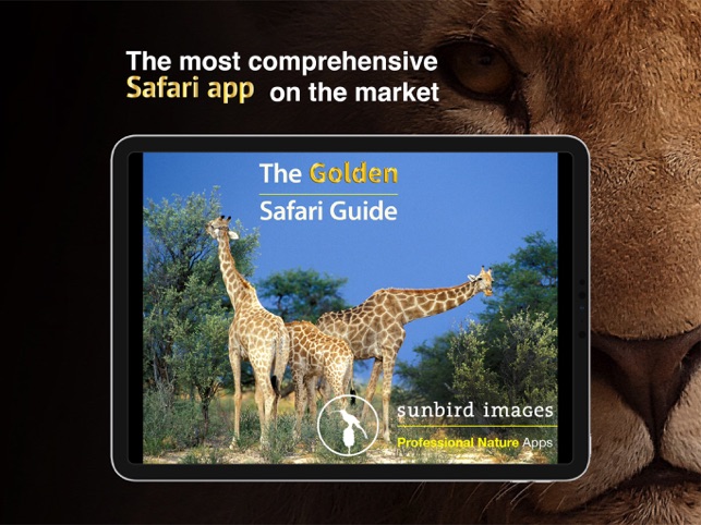 The Golden Safari Guide