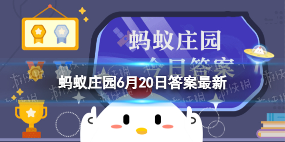 夏季轻食小贴士：以下哪种调味料热量偏高，不宜多添加 蚂蚁庄园6月20日答案最新