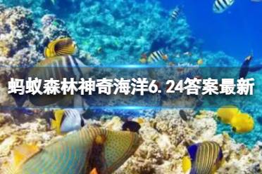 海兔体内的紫色腺是干嘛的 蚂蚁森林神奇海洋今日答案6.24最新