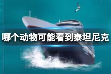 淘宝大赢家每日一猜答案6.27 哪个动物可能看到泰坦尼克