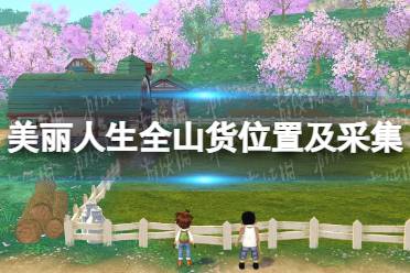 《牧场物语Welcome美丽人生》全山货位置及采集攻略 山货采集地点汇总