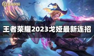 原神幻境海螺位置在哪里 幻境海螺图示采集位置2023